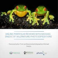 Online Portfolio Reviews with Michael Snedic of WildNature Photo Expeditions