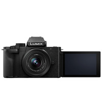 Panasonic Lumix G100 Body + 12-32mm f3.5-5.6 Lens - Black