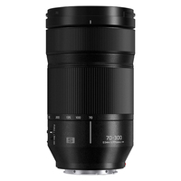 Panasonic Lumix S 70-300mm f/4.5-5.6 Macro O.I.S. Lens 