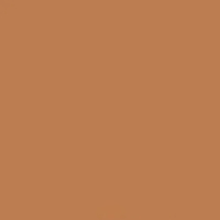 Superior Background 48 - 2.72 x 11m - Spice