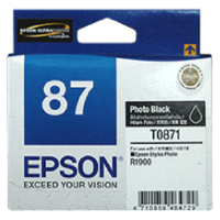 Epson 1900 Photo Black Ink - Expired