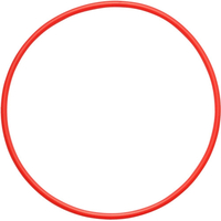 Olympus O-Ring for PT-058 Underwater Housing