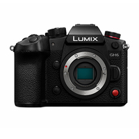 Panasonic Lumix GH6 – Body only