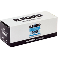 Ilford Delta 100 Black & White 120 Single Roll Film - Expired