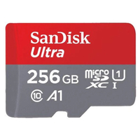 SanDisk Ultra 256GB microSDXC UHS-I 100MB/s Memory Card with No Adapter - V10 - No Packaging