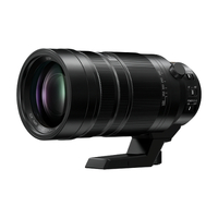 Panasonic Leica DG Vario-Elmar 100-400mm f/4-6.3 II ASPH Power OIS Lens