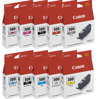 Canon PFI300 Ink Bundle