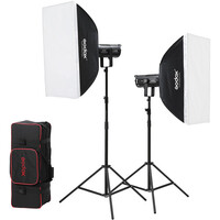 Godox SL-200II 2 Head LED Daylight Octa Softbox Ki