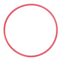 Olympus POL-EP03 O-Ring for PT-EP03