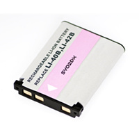 Inca Fuji NP45 Battery
