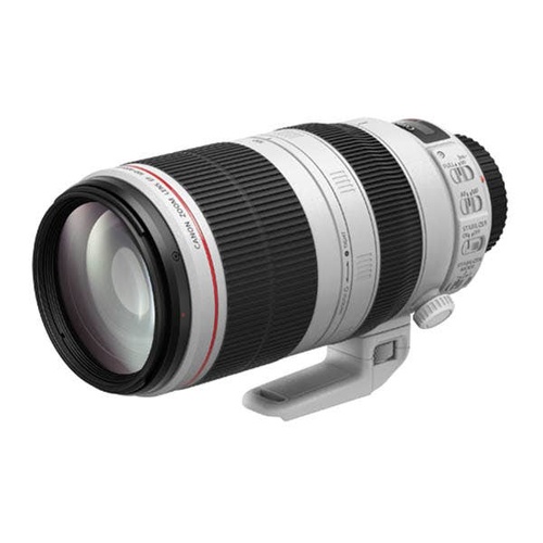 Canon EF 100-400mm f4.5-5.6L IS USM II Zoom