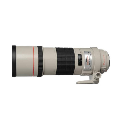 Canon EF 300mm f4 | Secondhand