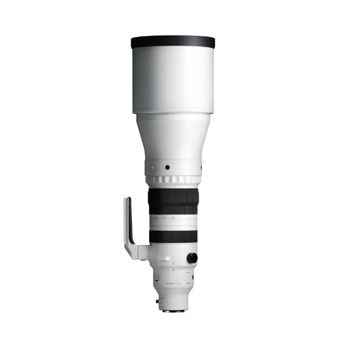 Sigma 300-600mm F4 DG OS Sports Zoom - Sony E