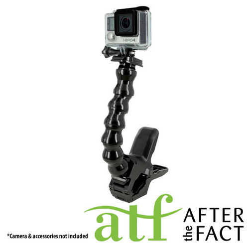 ATF Tyrannosaurus Mount - NoPackaging