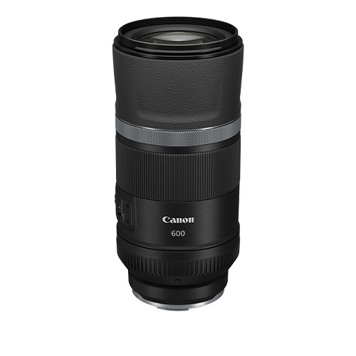 Canon RF 600mm f/11 IS STM Lens