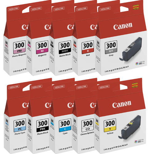 Canon PFI300 Ink Bundle