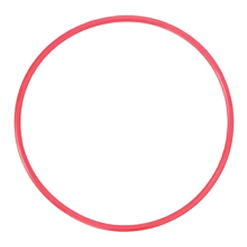 Olympus POL-EP03 O-Ring for PT-EP03