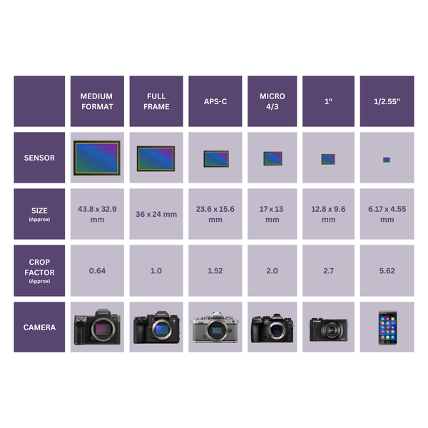 Camera Sensor Sizes Explained: How Sensor Size Affects Your Photos image