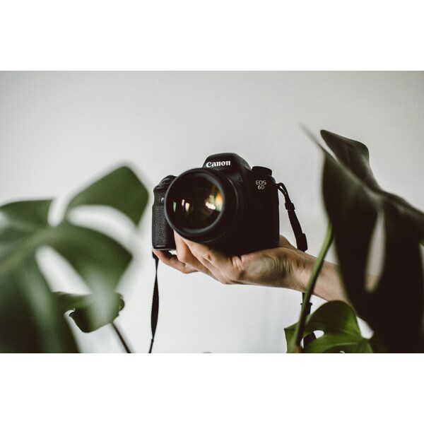 Tips & Tutorials image
